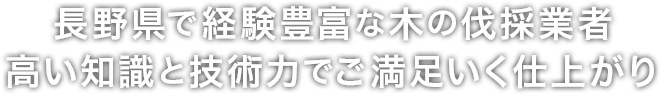 経験豊富な知識と高い技術力で、ご満足いただける仕上がりに。