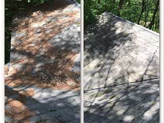 屋根の落ち葉掃除